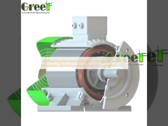 SKF Bearing Permanent Magnet Generator with IP54 Protection Aluminium Body and Cooper Wire