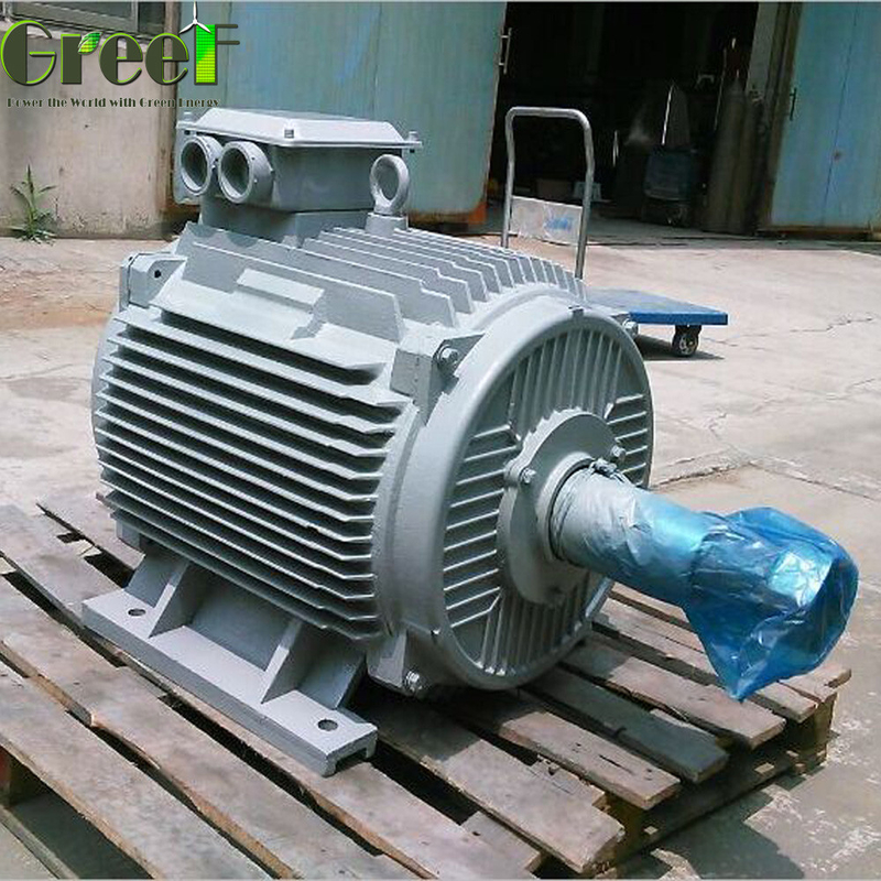High output FREE ENERGY 1MW Customized Size speed Permanent Magnet Generator