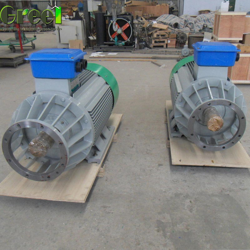 IP54 Permanent Magnet Generator with Customized Rated Voltage for 50Hz/60Hz Frequency