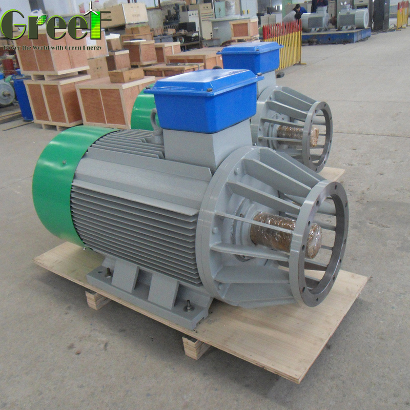 FREE ENERGY 5MW Customized Magnet Size speed Permanent Magnet Generator 500Vdc