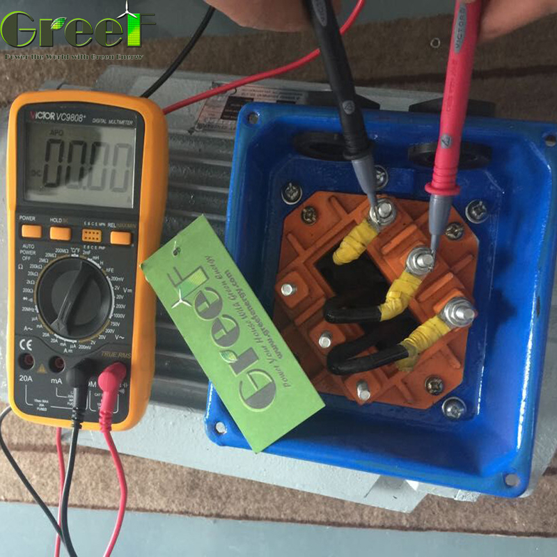 FREE ENERGY 5MW Customized Magnet Size speed Permanent Magnet Generator 500Vdc