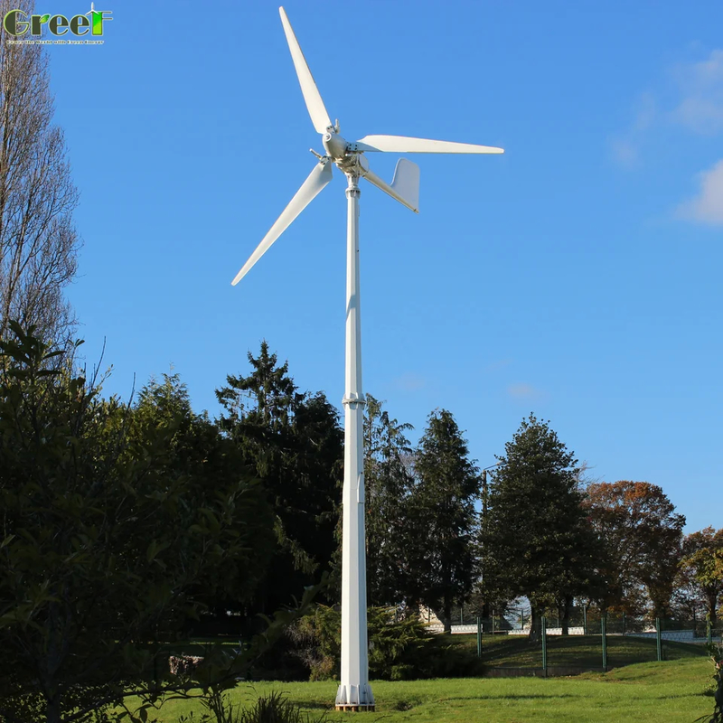 FRP Blades Material 3PCS Quantity Wind Electric Generator for Safety Wind Speed of 60m/s