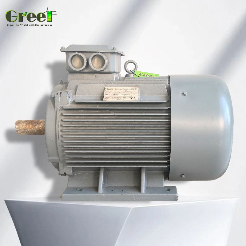 Industrial AlternatorwithMagnet with IP54 Classification of Degrees and Rated power 0.5--5000kW