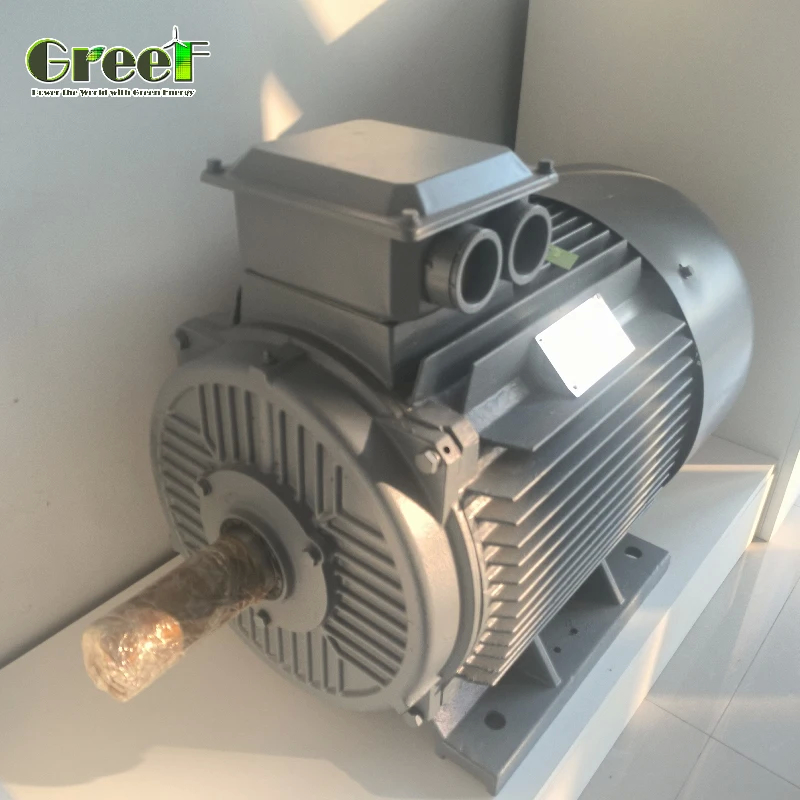 3phase AC Synchronous Motor Permanent Magnet Motor Rated Power 750W-5MW for Motor Applications