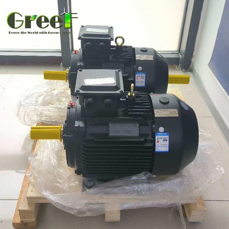 High Torque IP54 50Hz Permanent Magnet Motor For 3Phase AC Water Pumps
