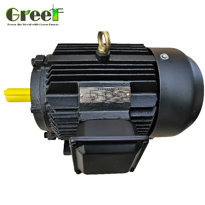 50Hz Permanent Magnet 3 Phase AC Synchronous Motor With Rated Power 750W-5MW
