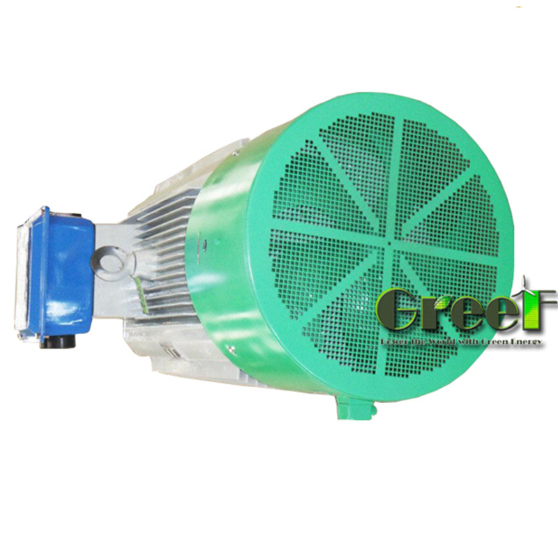 SKF Bearing Permanent Magnet Generator with IP54 Protection Aluminium Body and Cooper Wire
