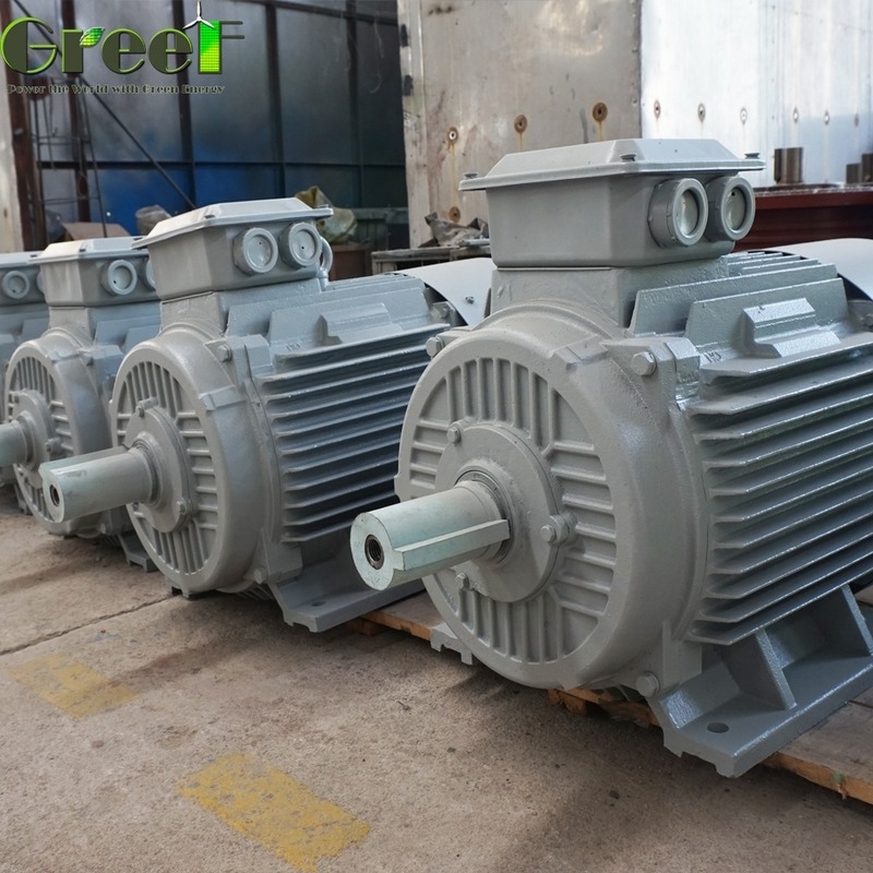 SKF Bearing Permanent Magnet Generator with IP54 Protection Aluminium Body and Cooper Wire