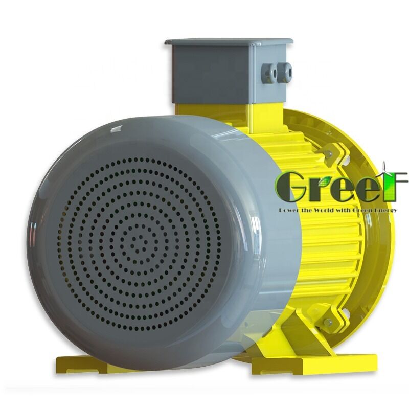 50HZ and 60HZ Frequency Permanent Magnet Motor with 100Mohm Min 500Vdc Insulating Resistance and 6 Poles for Industrial Systems