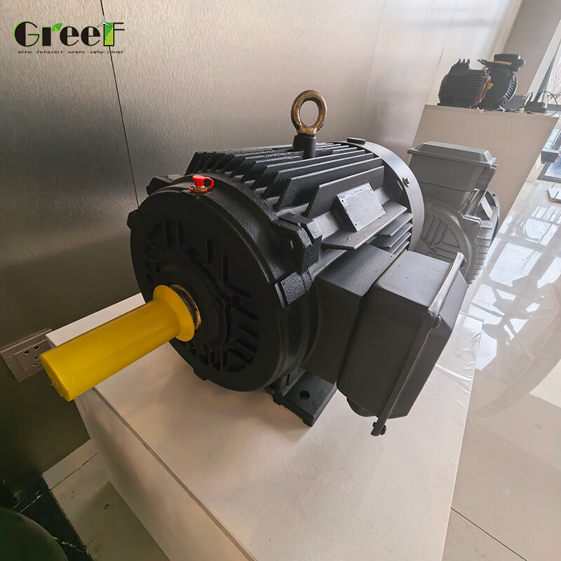 Customizable Permanent Magnet Motor with Insulating Resistance 100Mohm Min 500Vdc, Insulation Class F, and 0-3000 RPM Speed Range