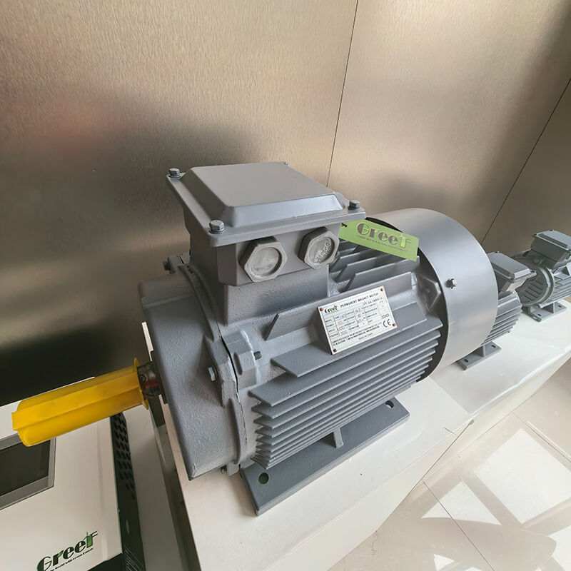 IP54 Rated Flange Mount Permanent Magnet Motor with 0-3000 RPM for Industrial Applications