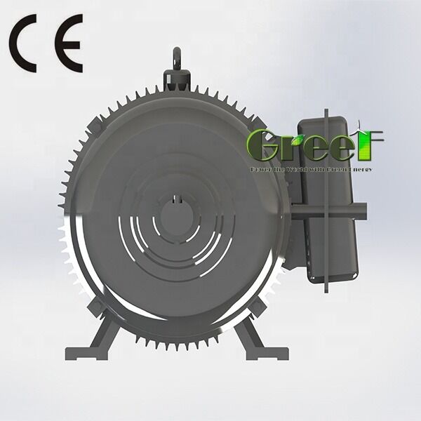 SKF Bearing Brushless Permanent Magnet Motor Incorporating NdFeB Magnet Type Ideal for Renewable Energy Robotics and Industrial Drives