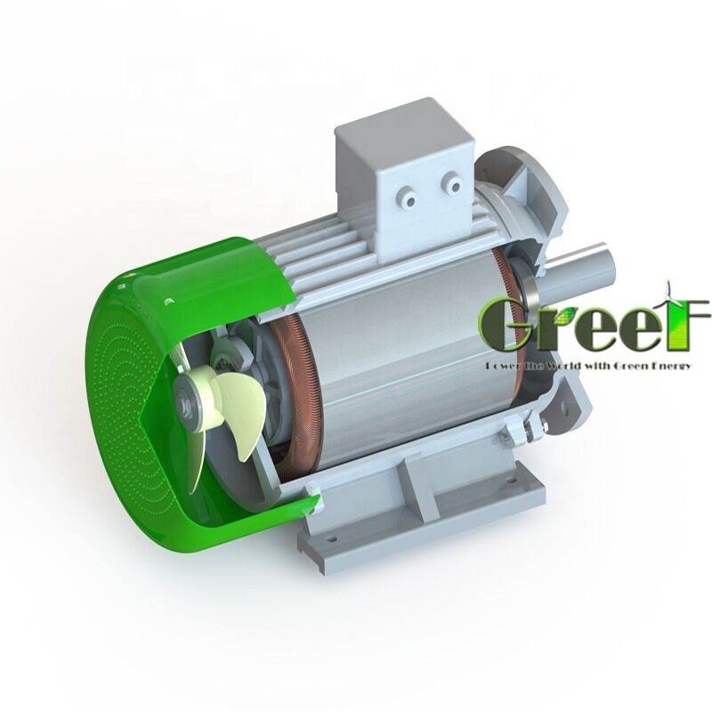 IMB3 IMB5 IMB35 Installation Permanent Magnet Generator Electric Generator Composed of 100 Percent Copper Wire Nd Fe B Material for Industrial