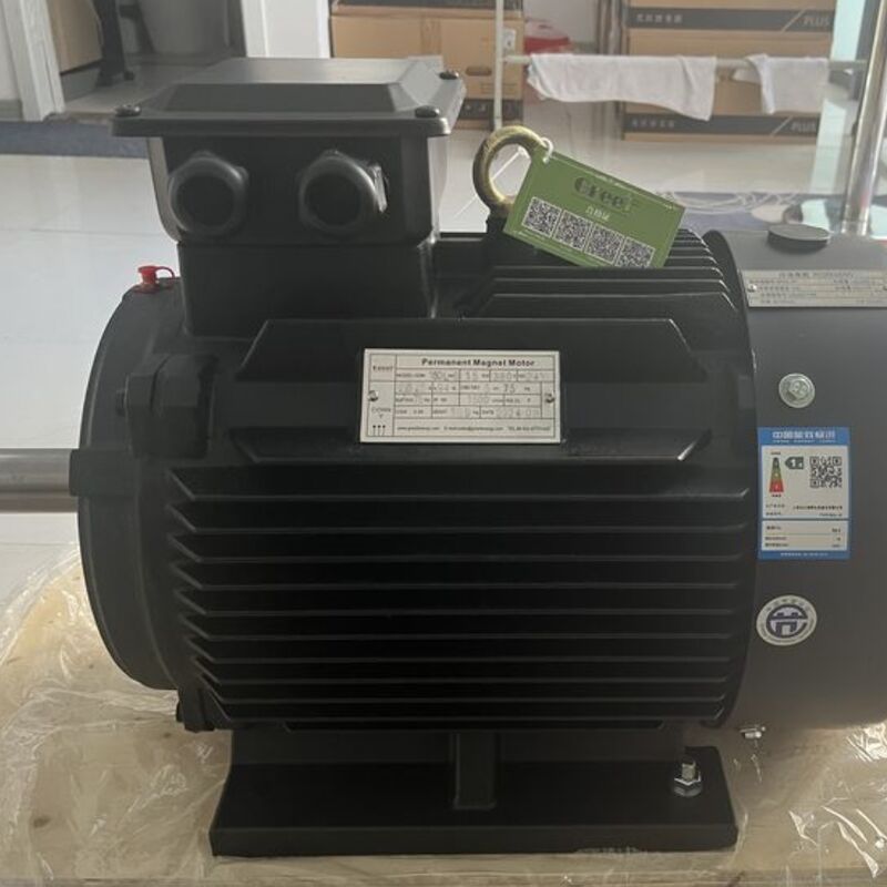 IP54 Rated Permanent Magnet Motor 24V 1140V Voltagerating Featuring Neodymium Magnet Suitable for Precision Control and Automation Systems
