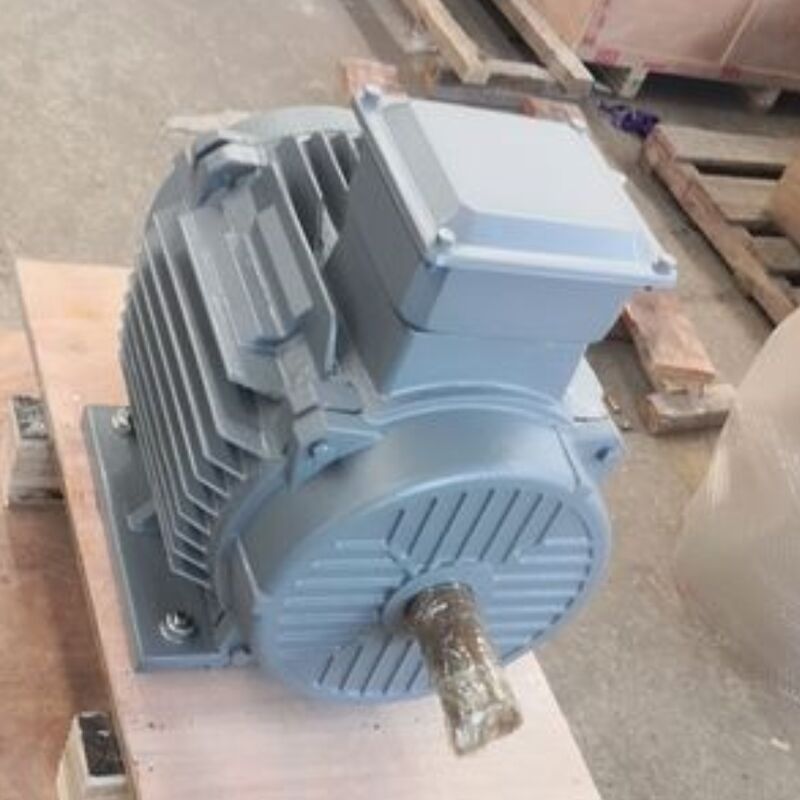 24V-1140V Brushless Permanent Magnet Motor Offering IP54 Degree Classification Optimized for Automation Machinery and Energy Solutions