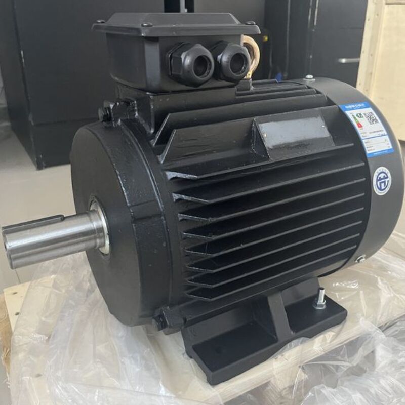 Customization Number Of Poles Magnetic Motor Voltage Rating 24V 1140V Compatible With Wide Range Of Industrial Equipment