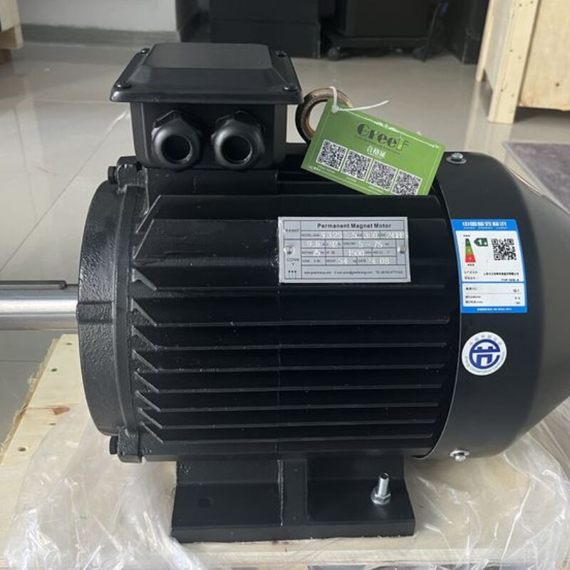 Efficiency Above 95 Percent Magnetic Motor Rated Power 750w 5Mw Engineered for Performance in Manufacturing and Processing