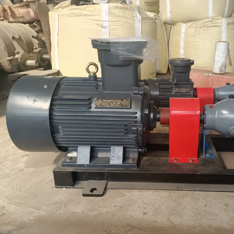 Steel Shaft Permanent Magnet Motor Incorporating 100 Percent Copper Winding and Cold Rolled Silicon Steel Sheet Iron Core Designed for Operation