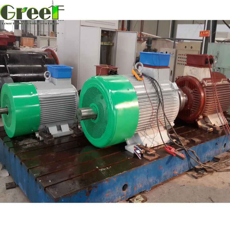 Efficiency Above 95 Percent Magnetic Motor Rated Power 750w 5Mw Engineered for Performance in Manufacturing and Processing