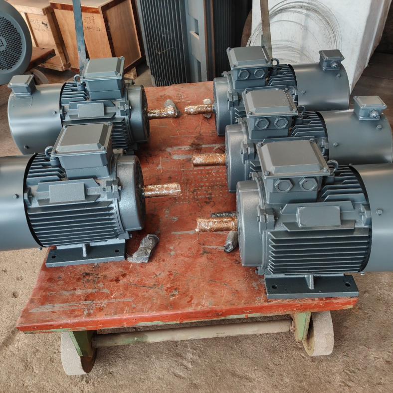 Lower Temperature Rise Permanent Magnet Synchronous Motor with F Class Insulation and IP55 Protection