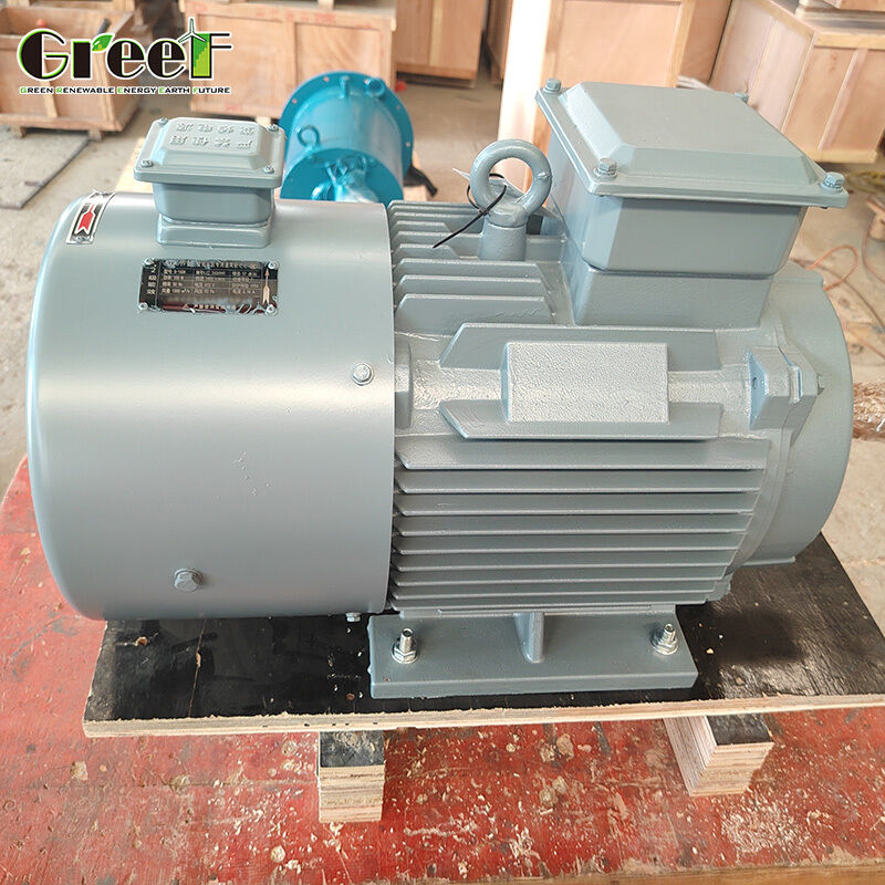 Zero Slip Permanent Magnet Synchronous Motor with 1500 rpm and 380V for Stable Speed Operation