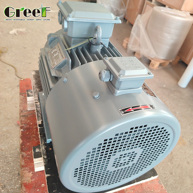 Integrated Thermal Protection Permanent Magnet Synchronous Motor with IP55 and PTC Overheat Protection 380V