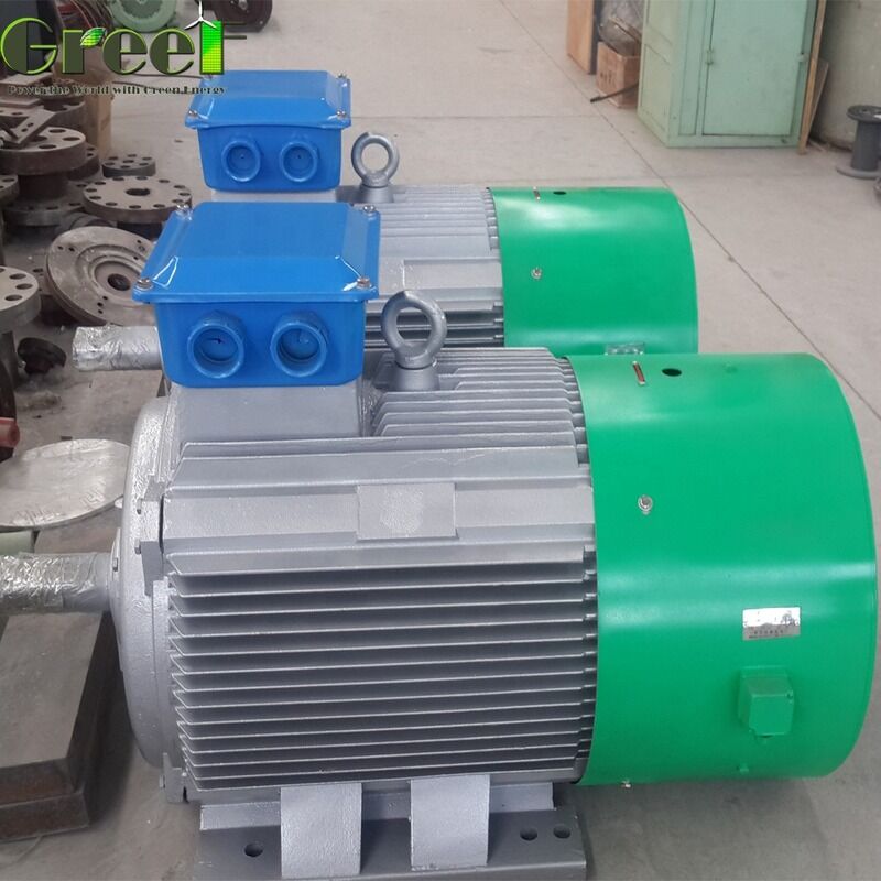 IP54 Grade Permanent Magnet Electric Motor with 100% Copper Winding and 500-3000rpm Speed for Industrial Applications