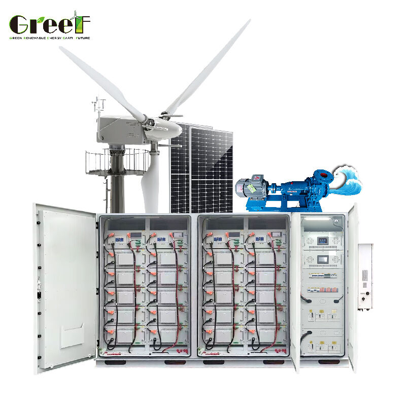 Customized Systemvoltage Hybrid Solar System with IP65 Protection Degree and 98.3% Inverter Efficiency Wind Solar Generator