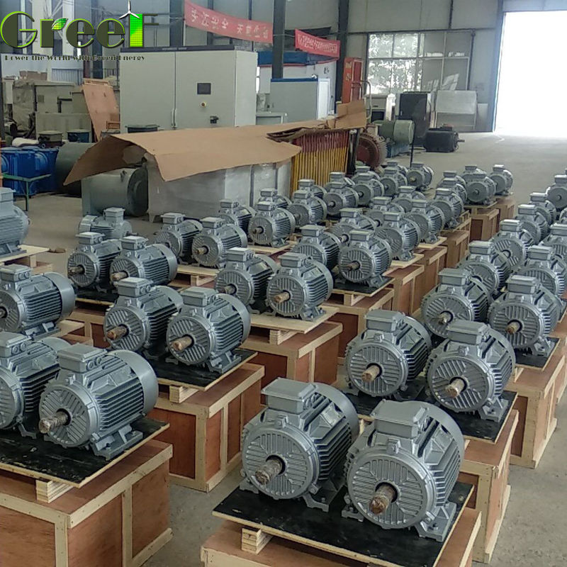 1MW 380Vac Free Energy Low Start Torque Hydro Turbine Generator 5MW PMG
